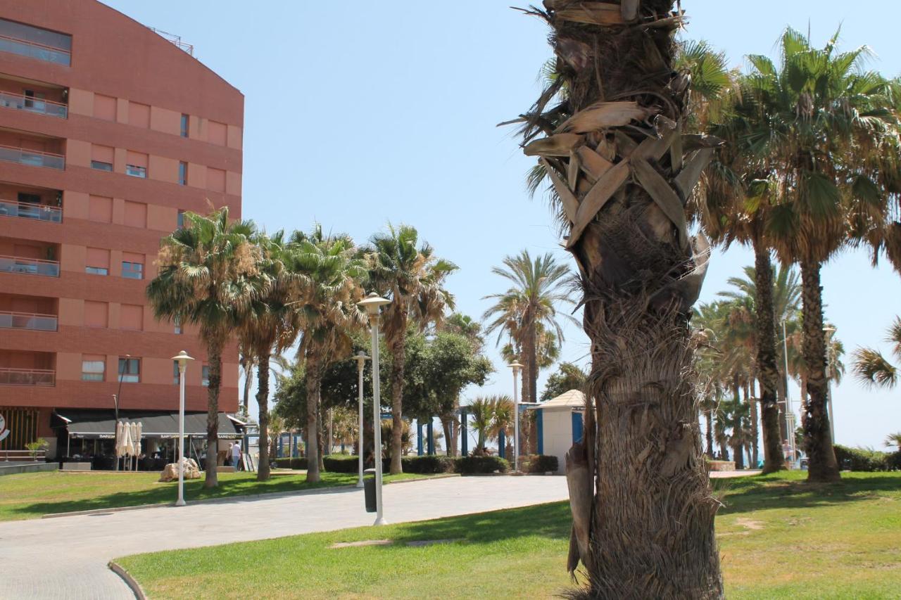 Pacifico 18 * Màlaga